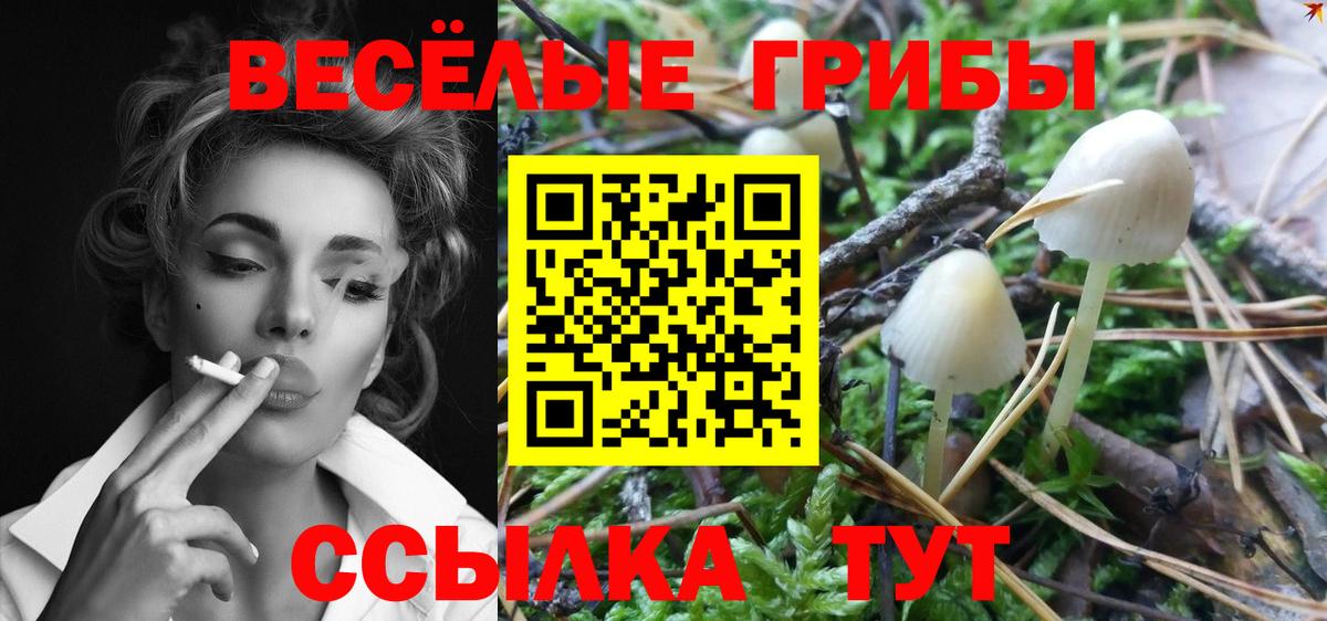 Псилоцибиновые грибы мухоморы  Вход с VPN  Балахна  Псилоцибиновые грибы прущие грибы 